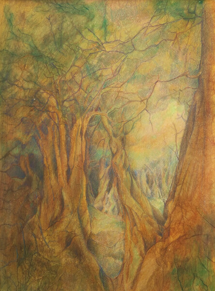Magie des arbres, 40x50 technique mixte (acrylique/papier/crayons de couleur) - vendue